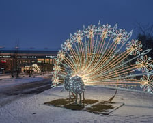Iluminacje świąteczne wokół wrocławskich galerii