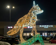 Iluminacje świąteczne wokół wrocławskich galerii