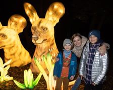 <p>Garden of Lights z zoo Wrocław&nbsp;</p>