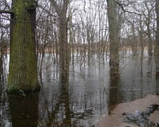 <p>Widawa wylewa (26 grudnia 2023)&nbsp;</p>