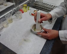 <p>Zajęcia w laboratoriach podczas Nocy Biolog&oacute;w</p>