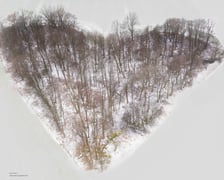 <p>Zagajnik Miłości zimą. Wieś Skarszyn, w kt&oacute;rej się znajduje bywa nazywana "wioską z sercem"</p>