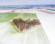 <p>Zagajnik Miłości zimą wygląda r&oacute;wnie ciekawie jak wiosną. Ta popularna miejsc&oacute;wka znajduje się we wsi Skarszyn, położonej ok. 20 km od Wrocławia</p>