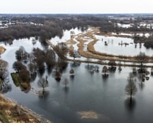 Woda z Widawy stojąca na niezabudowanych terenach we Wrocławiu (18 lutego 2024)