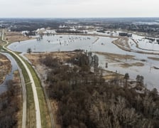 Woda z Widawy stojąca na niezabudowanych terenach we Wrocławiu (18 lutego 2024)