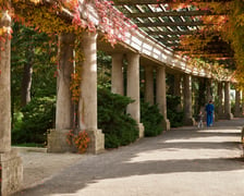 <p>Pergola</p>