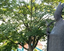 pomnik kardynała Kominka na Ostrowie Tumskim