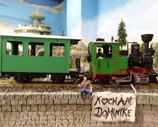 Transparent "Kocham Dominikę"