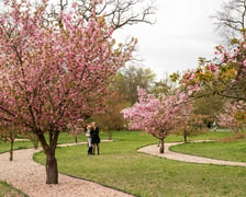 Park Szczytnicki