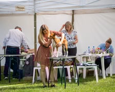 <p>Wystawy Ps&oacute;w Rasowych: szpice i psy pierwotne (3.05.2024)&nbsp;</p>