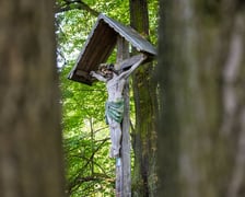 Zabytkowy krzyż nad Odrą, stojący na granicy Biskupina i Dąbia