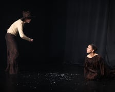 <p>"Drzewo, ktore umiało dawać"&nbsp; - spektakl Teatru Na Bruku</p>