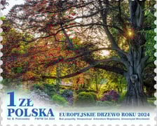 <p>Znaczek z bukiem pospolitym z Wojsławic, kt&oacute;ry jest Europejskim Drzewem Roku 2024</p>