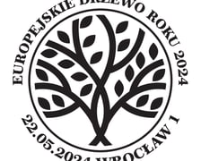 <p>Datownik ze wzorem buka pospolitego z Wojsławic, kt&oacute;ry jest Europejskim Drzewem Roku 2024</p>