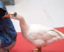 Poczytajki w Bibliotece Grafit przy Namysłowskiej