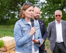 Farma Miejska z eko warzywami dla najmłodszych wrocławian