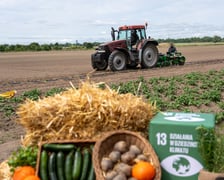 Farma Miejska z eko warzywami dla najmłodszych wrocławian