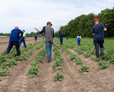 Farma Miejska z eko warzywami dla najmłodszych wrocławian