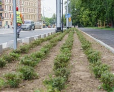 przebudowa Pomorskiej i Staszica / 28 maja 2024