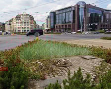 <p>Pomnik Tian'anmen na pl. Dominikańskim</p>