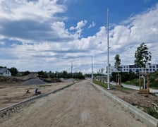 Postęp prac na Lipie Piotrowskiej