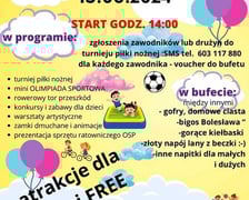 Piknik w Bolesławicach