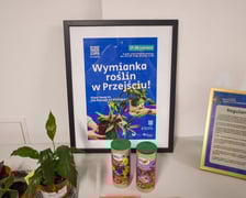 Wymiana roślin w Przejściu Dialogu
