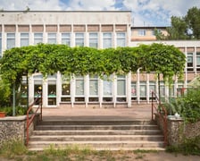 Przedszkole na ul. Oporowskiej stworzyło ogrody warzywne i łąkę na muralu