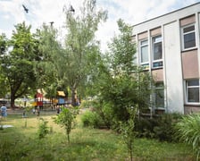 Przedszkole na ul. Oporowskiej stworzyło ogrody warzywne i łąkę na muralu