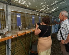 Regionalna Wystawa Zwierząt Hodowlanych we Wrocławiu w 2023 r.