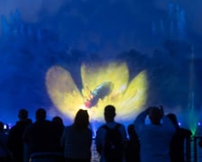 Fontanna Multimedialna 2024. Zobaczcie zdjęcia