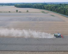 Żniwa na polu pod Wrocławiem