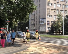 <p>Straż Pożarna neutralizowała substancje ropopochodne na jezdni kilku ulic we Wrocławiu</p>