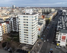 Trzonolinowiec, zdjęcie archiwalne