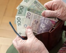 <p>Czternasta emerytura &ndash; czyli druga, dodatkowa emerytura (pierwszą była 13-stka) zostanie wypłacona wraz z emeryturą za wrzesień.</p>
<p>Terminy wypłat czternastki przypadają na: 1, 6, 10, 15, 20 i 25 dzień września. Pierwsza transza zostanie przelana jednak jeszcze w sierpniu.</p>