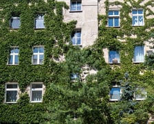<p>Kamienice i detale architektoniczne na ulicy Nowowiejskiej i sąsiednich ulicach</p>