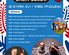 Dożynki w Borku Strzelińskim