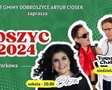 Dni Dobroszyc