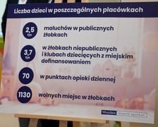 Konferencja prasowa w sprawie rozwoju opieki wczesnodziecięcej i programu odpłatności za żłobki w związku z programem "Aktywny Rodzic" - 09.09.2024