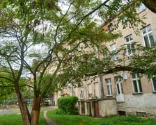 Wycinka drzew na kleczkowskim podwórku została na razie wstrzymana.