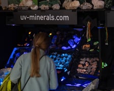 <p>Pierwsza Wrocławska Giełda Minerał&oacute;w i Biżuterii w Instytucie Nauk Geologicznych UWr.</p>