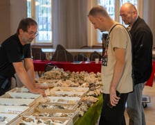 <p>Pierwsza Wrocławska Giełda Minerał&oacute;w i Biżuterii w Instytucie Nauk Geologicznych UWr.</p>