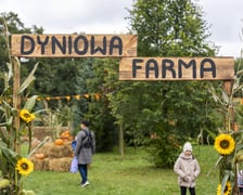 Dynowa Farma przy ul. Wróblewskiego 9, 05.10.2024