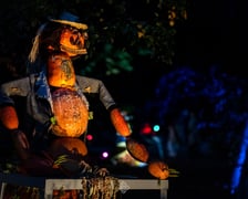 Dyniowe, wieczorne iluminacje w Ogrodzie Botanicznym