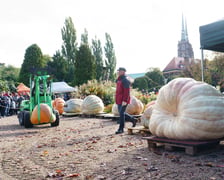 21. Festiwal Dyni we wrocławskim Ogrodzie Botanicznym