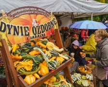 21. Festiwal Dyni we wrocławskim Ogrodzie Botanicznym