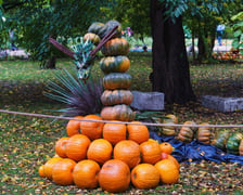 21. Festiwal Dyni we wrocławskim Ogrodzie Botanicznym