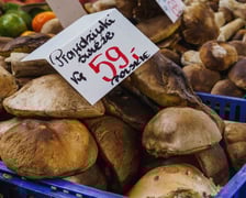 Stoiska z grzybami w Hali Targowej we Wrocławiu