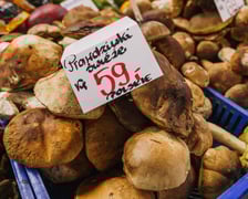 Stoiska z grzybami w Hali Targowej we Wrocławiu