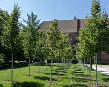 Zagospodarowanie wód opadowych na terenie Wrocławia